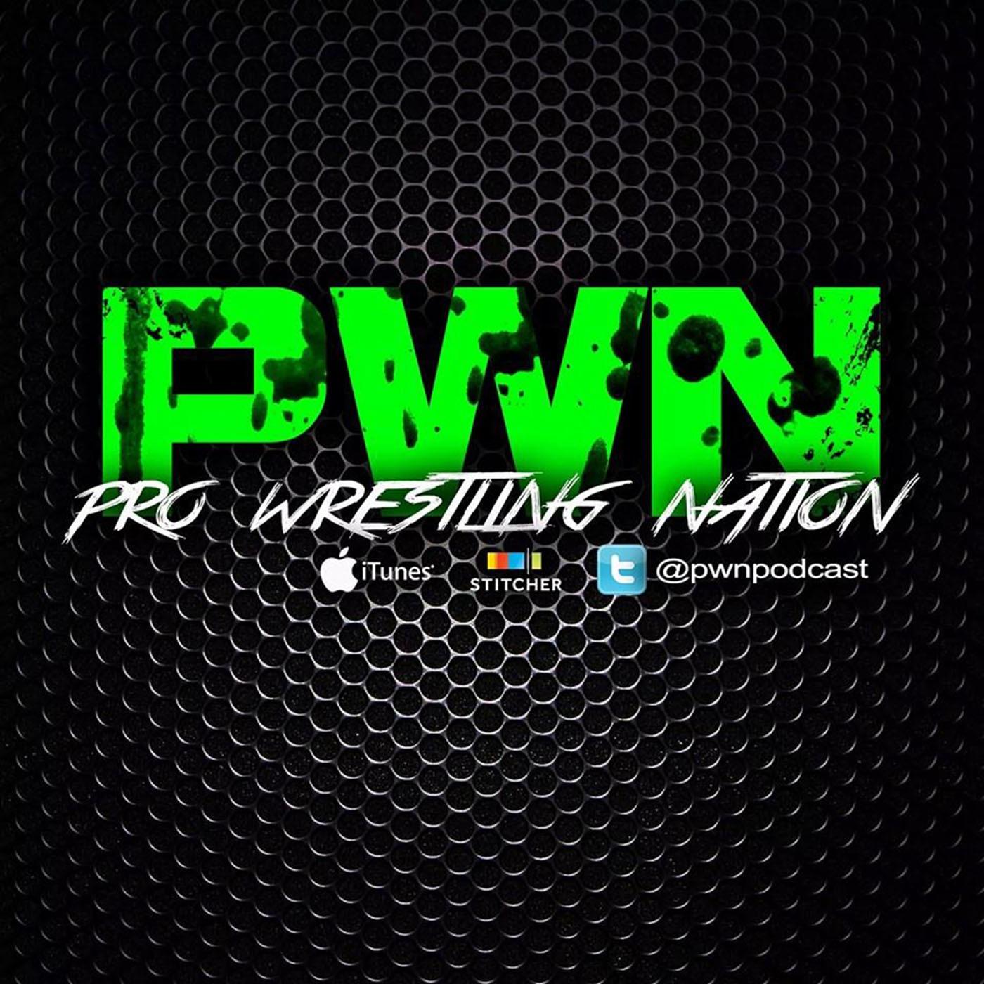 Pro Wrestling Nation