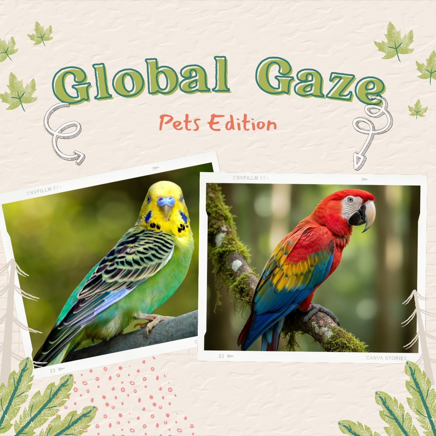 Global Gaze: Pets Edition