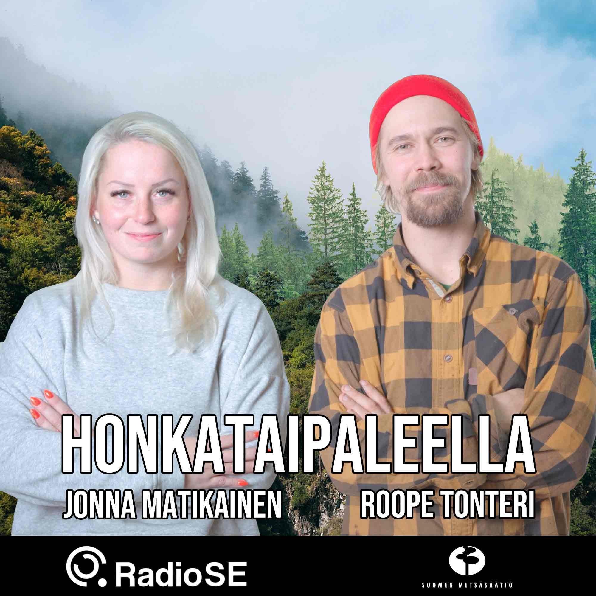 Honkataipaleella