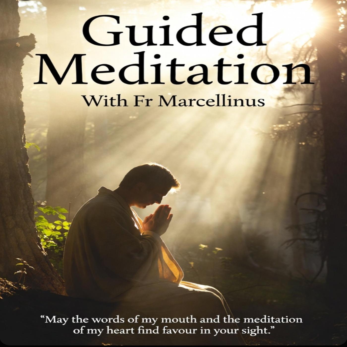 Guided Meditation 🧘🏾‍♂️