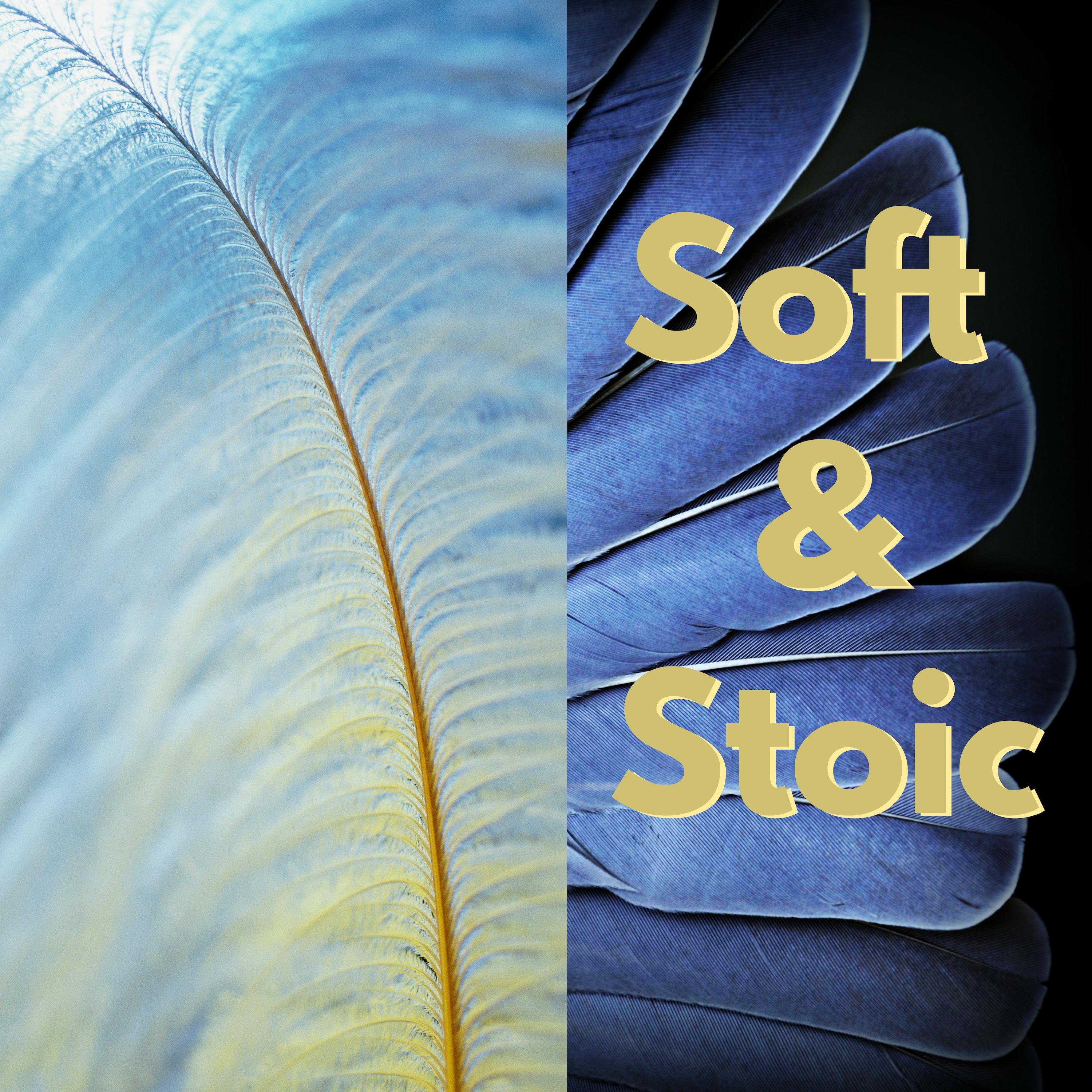 Soft & Stoic Podcast