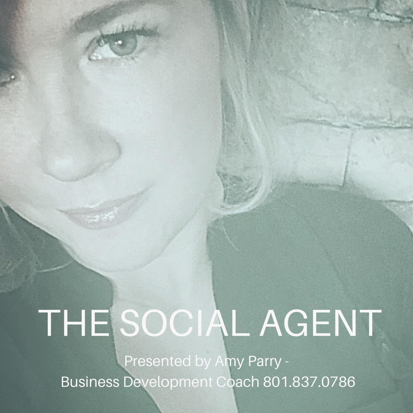 The Social Agent