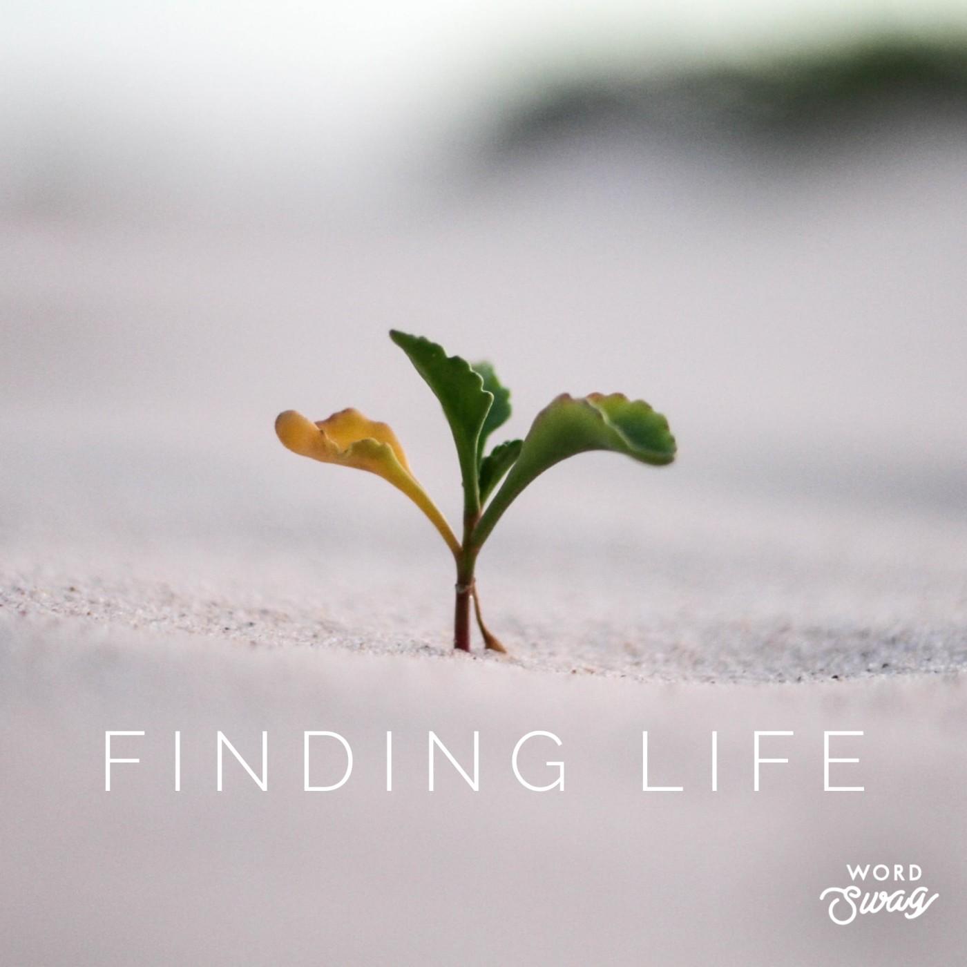 Finding Life Teaching Podcast