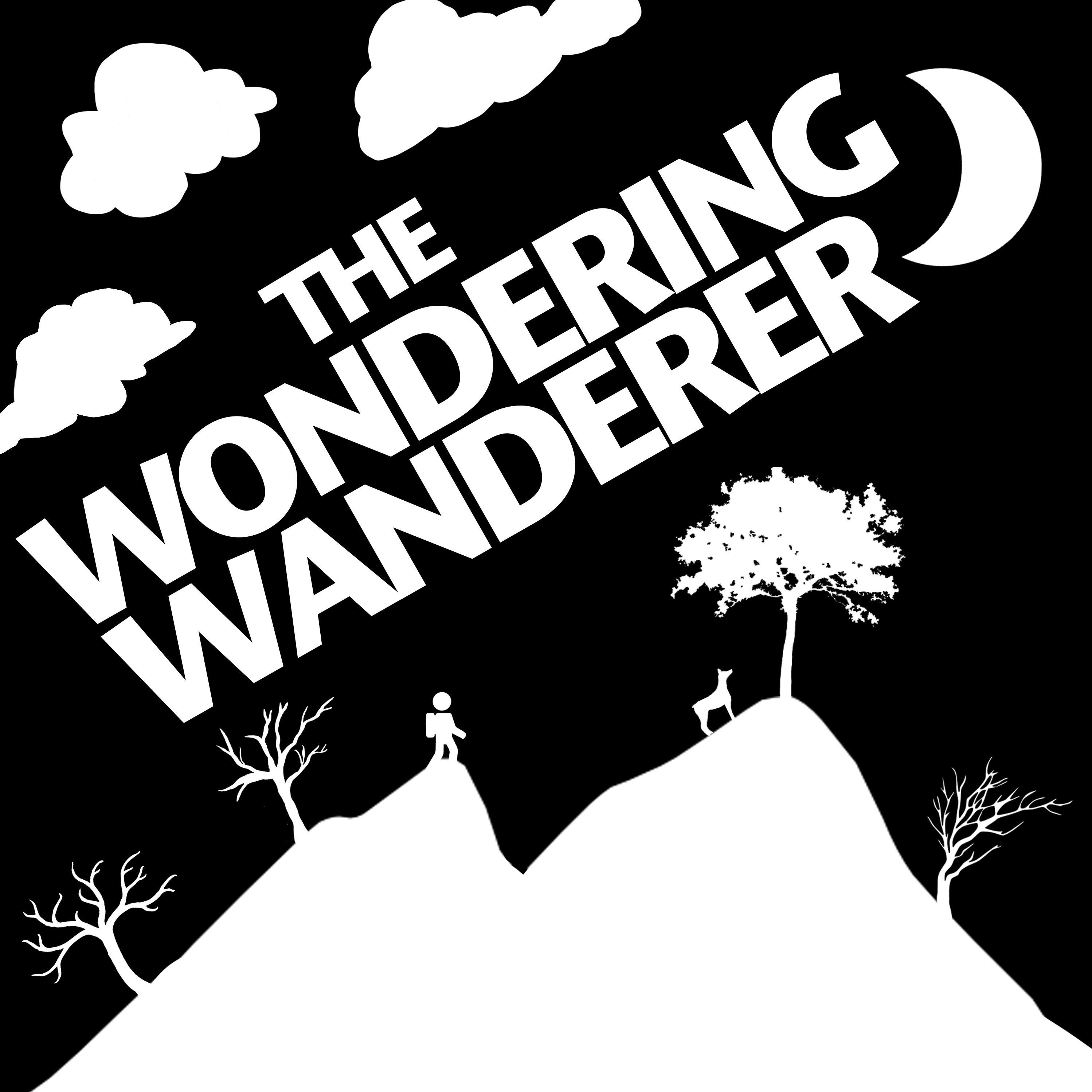 The Wondering Wanderer