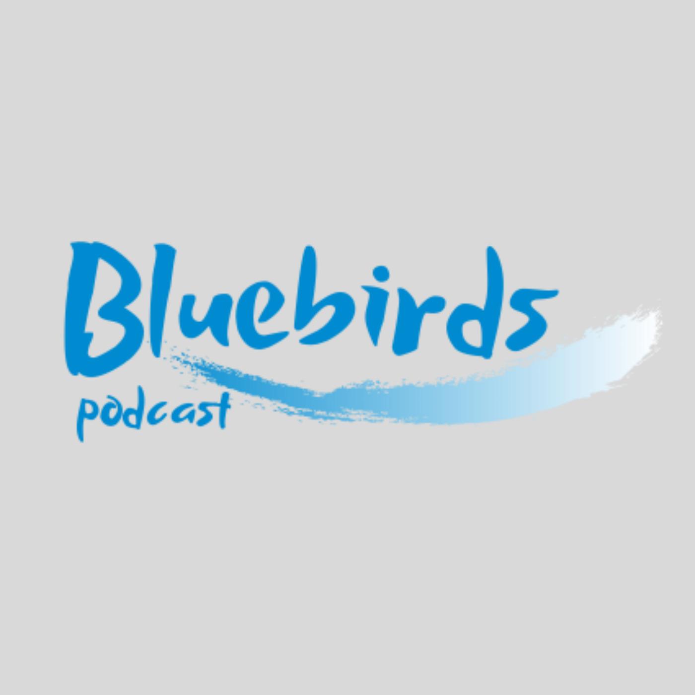 Bluebirds podcast
