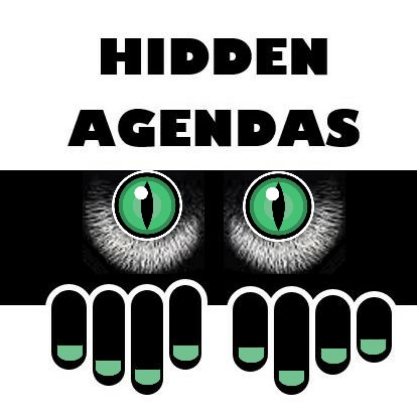 Hidden Agendas: Rambling conversations with secret topics