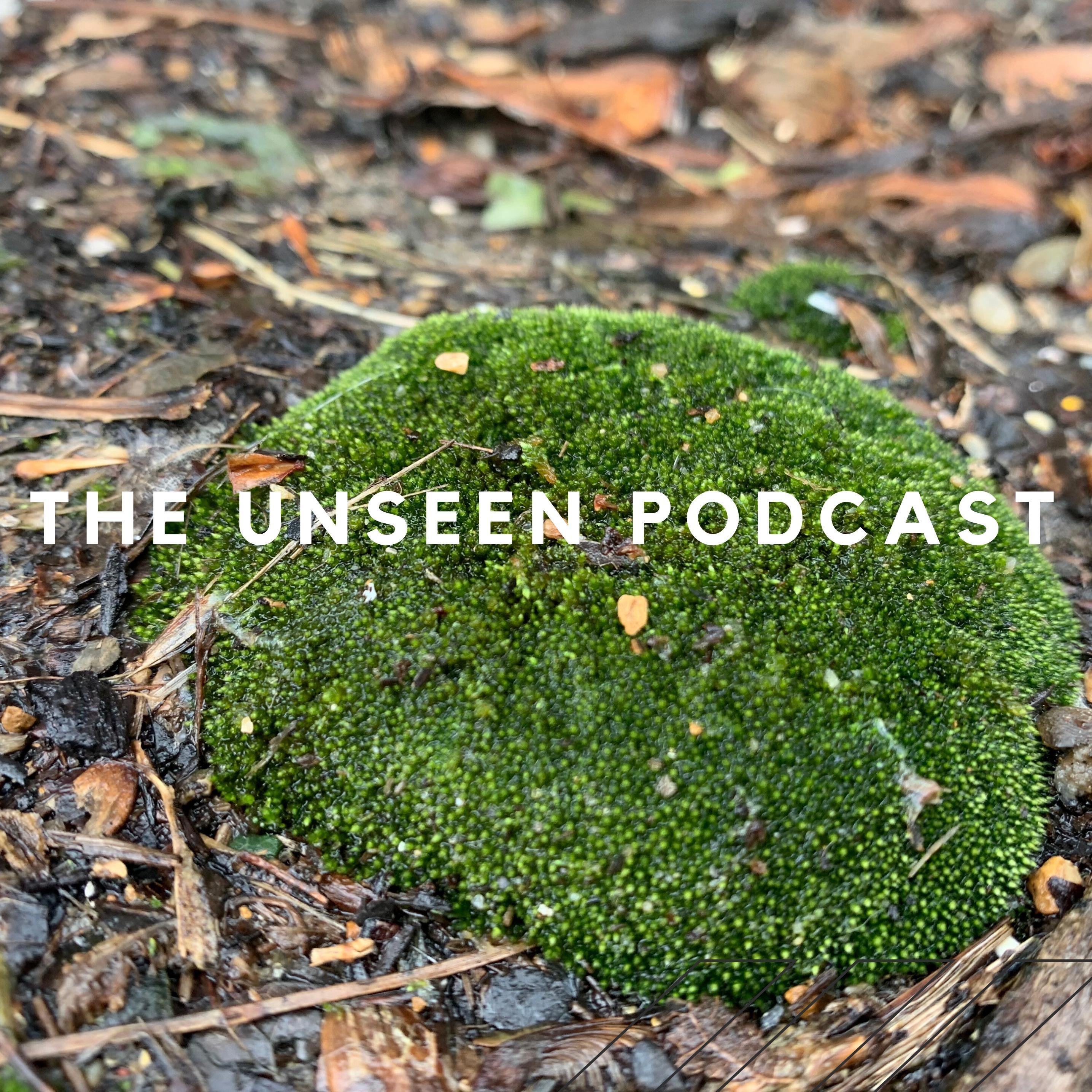 The Unseen Podcast