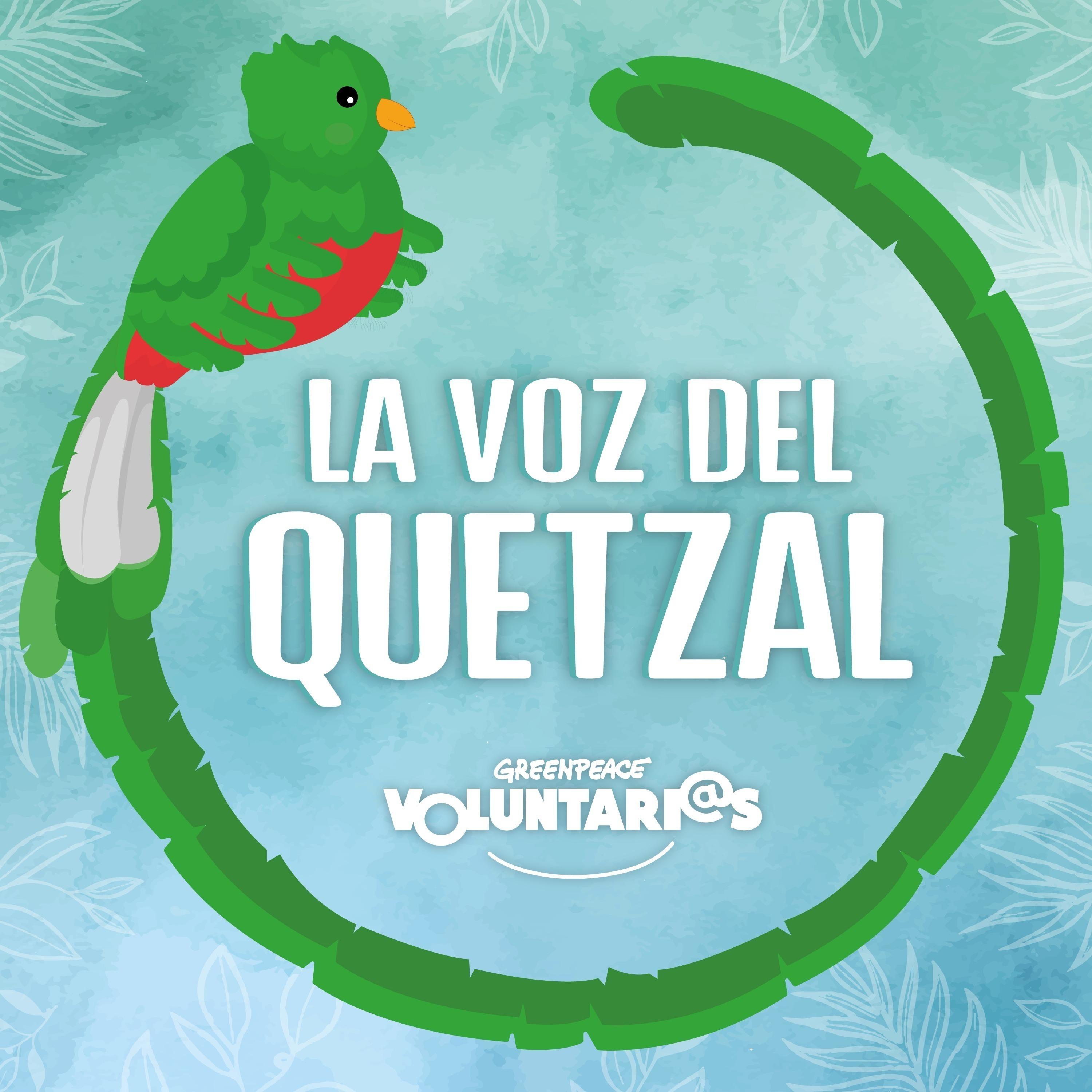 La Voz del Quetzal
