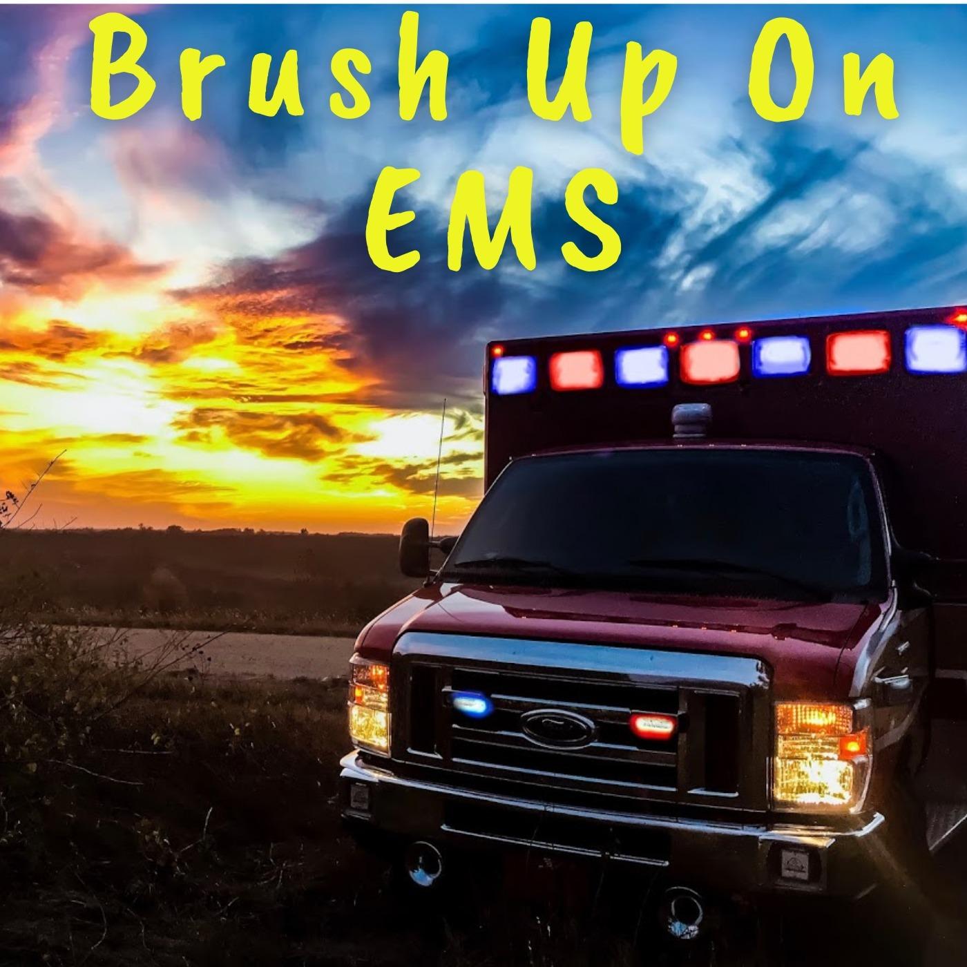 Brush Up on EMS