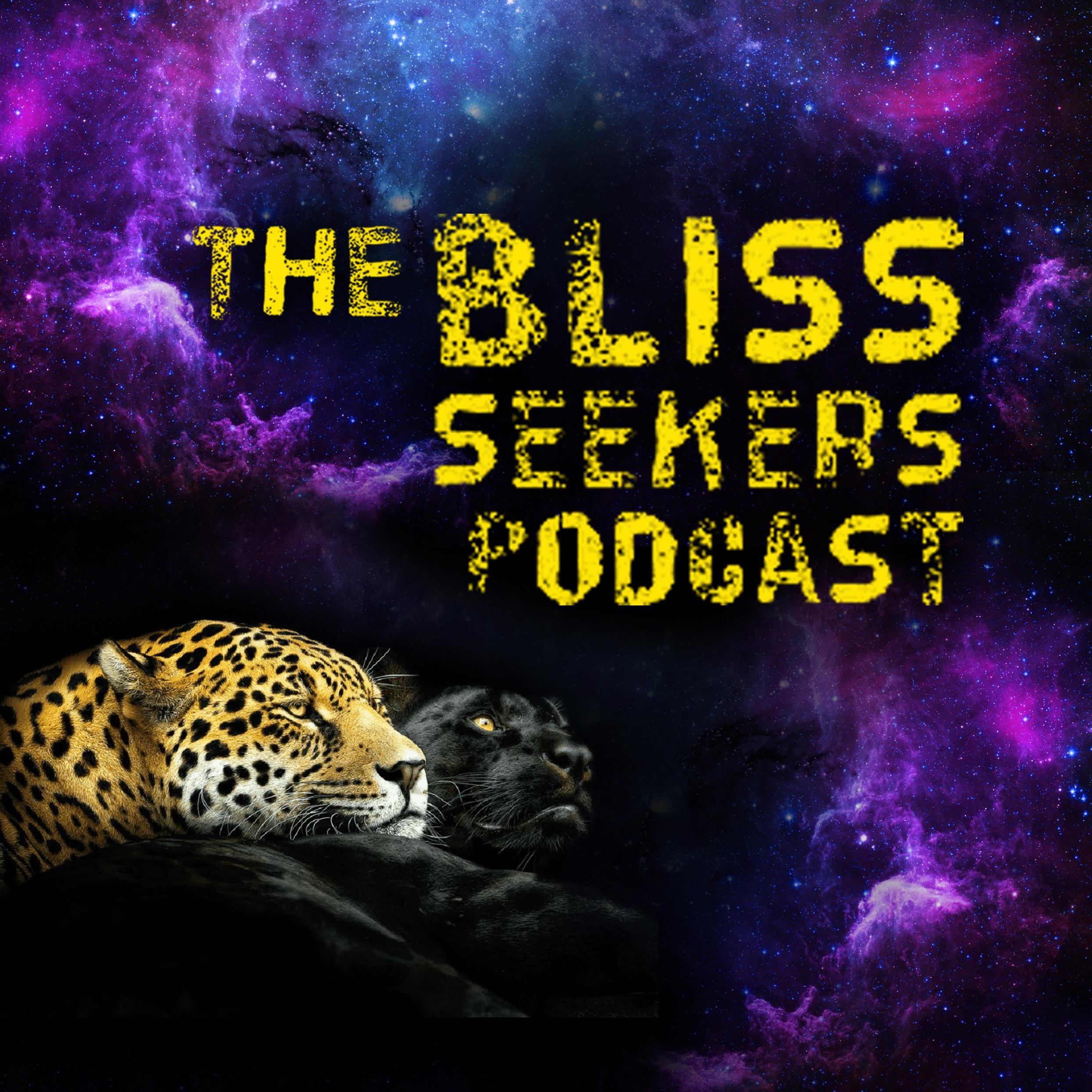 The Bliss Seekers Podcast