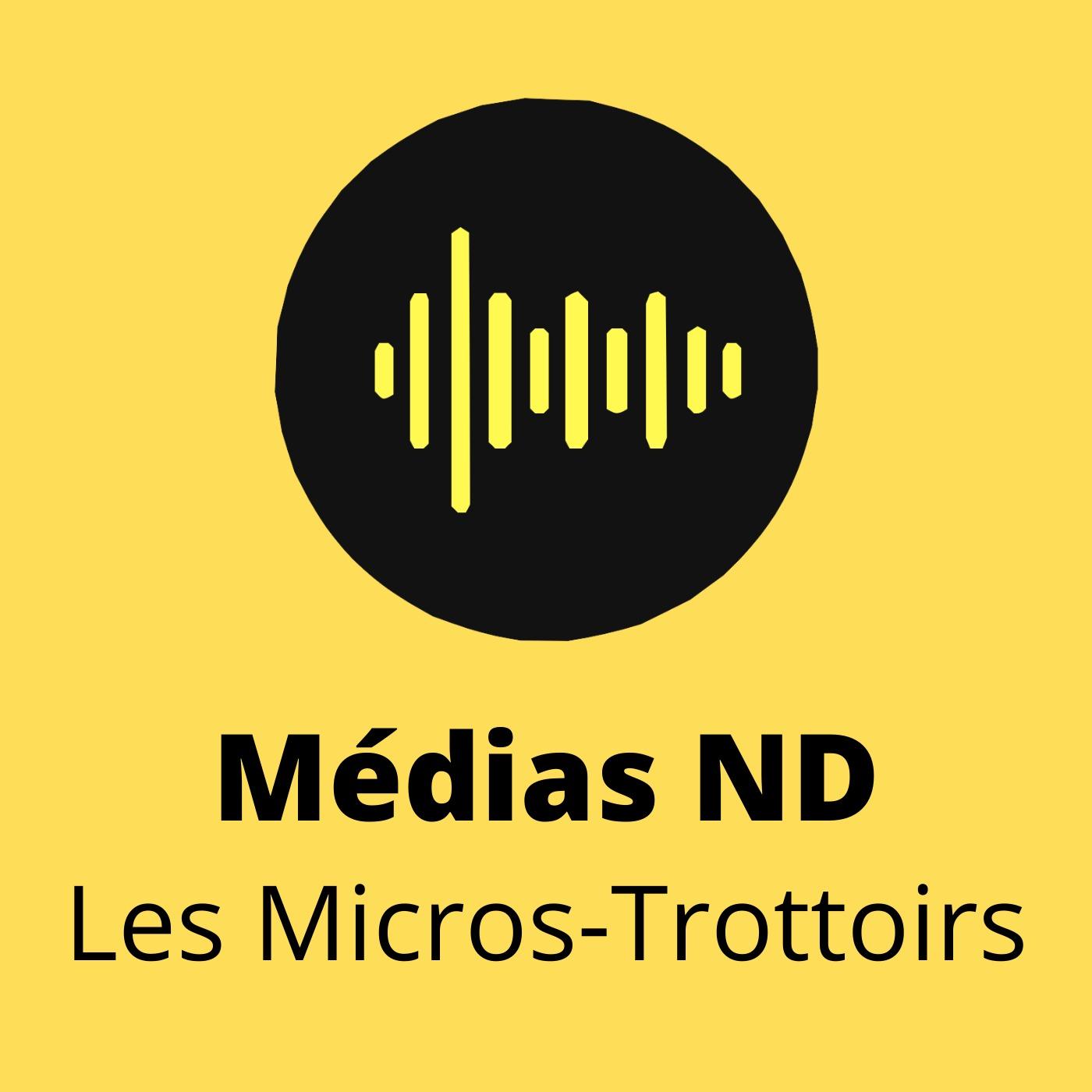 Médias ND - Les Micros Trottoirs