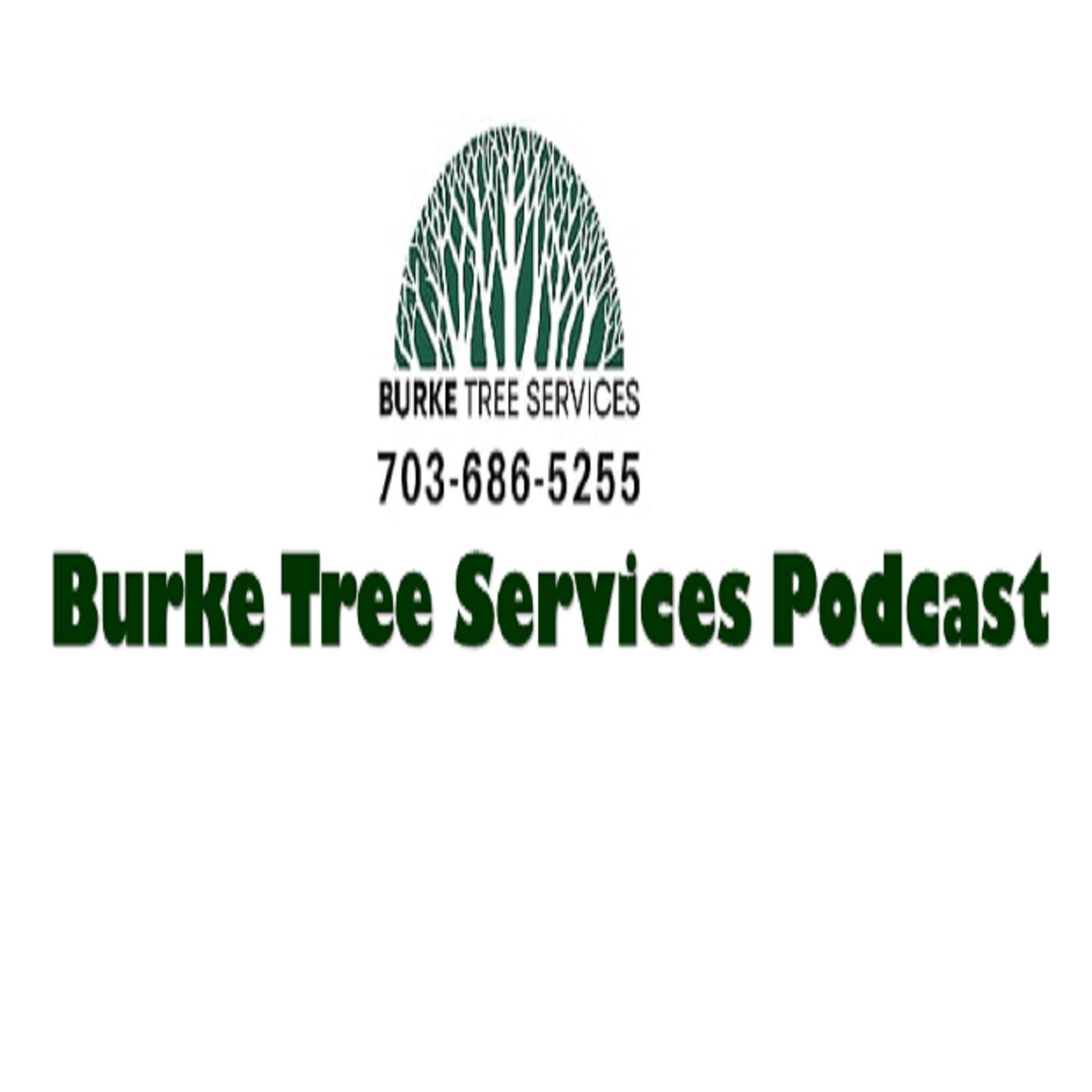 Burke Tree Services