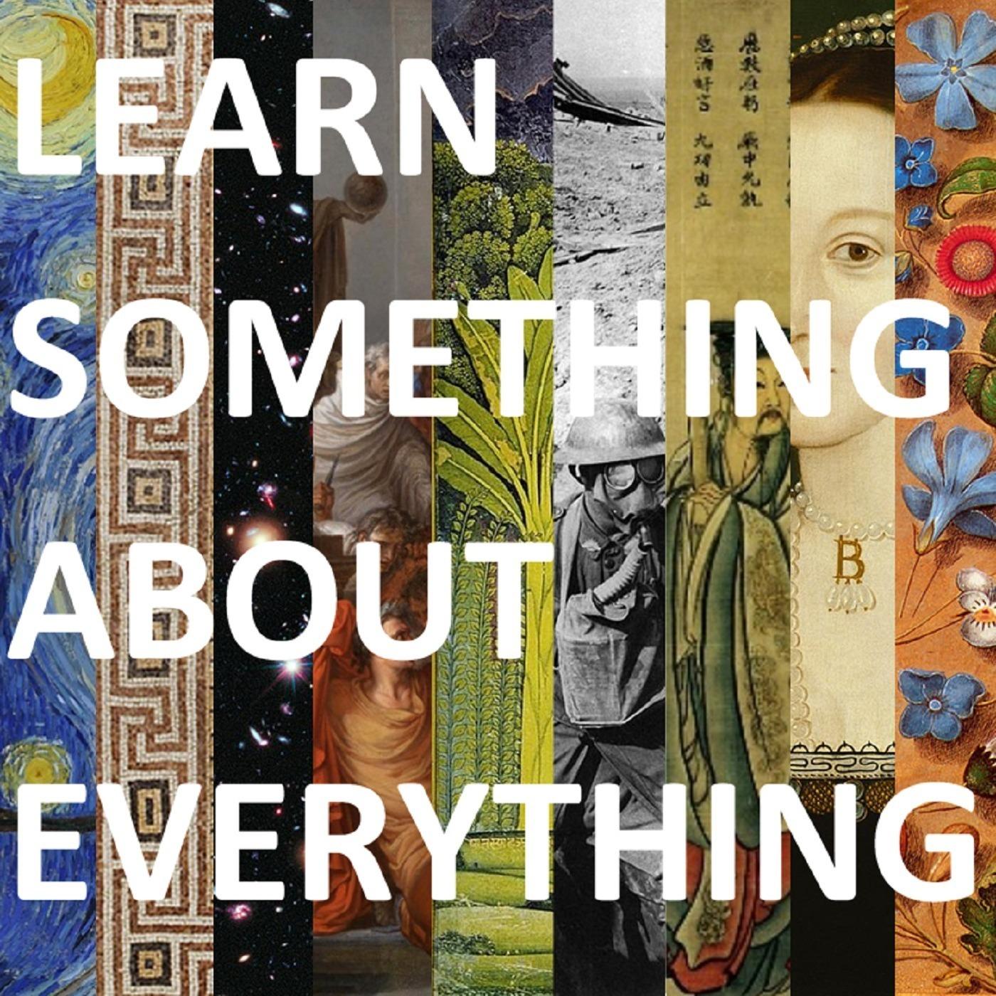 Learn Something About Everything
