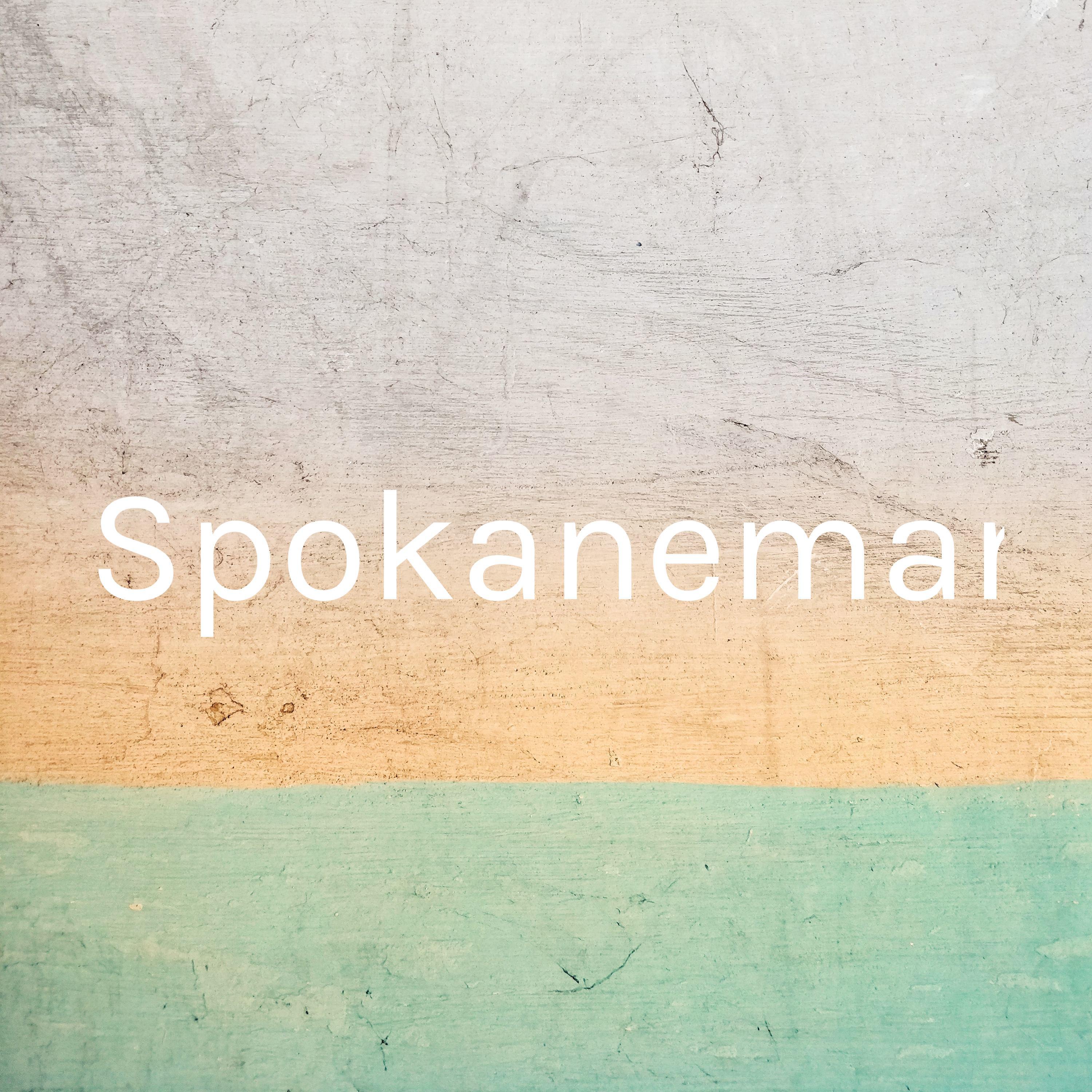Spokanemanpodcast