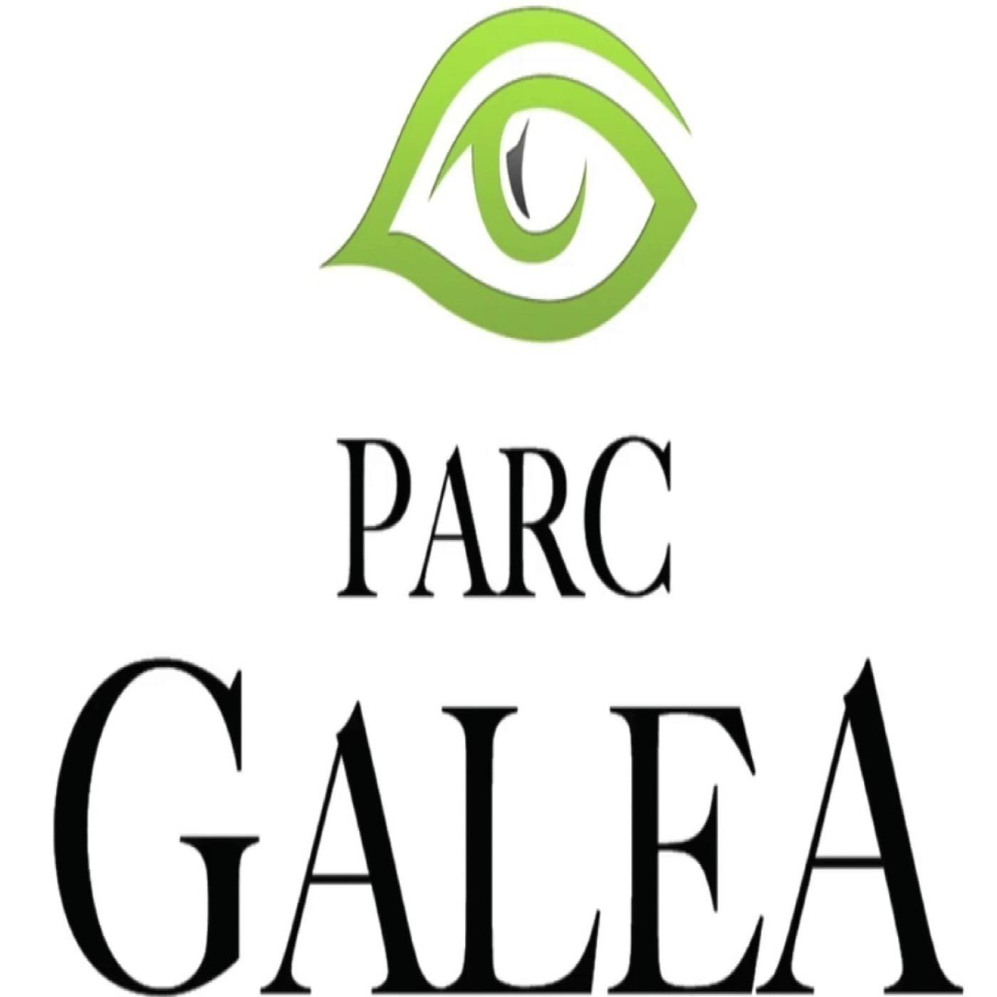 Les podcasts du Parc Galea : C'est pas des salades 