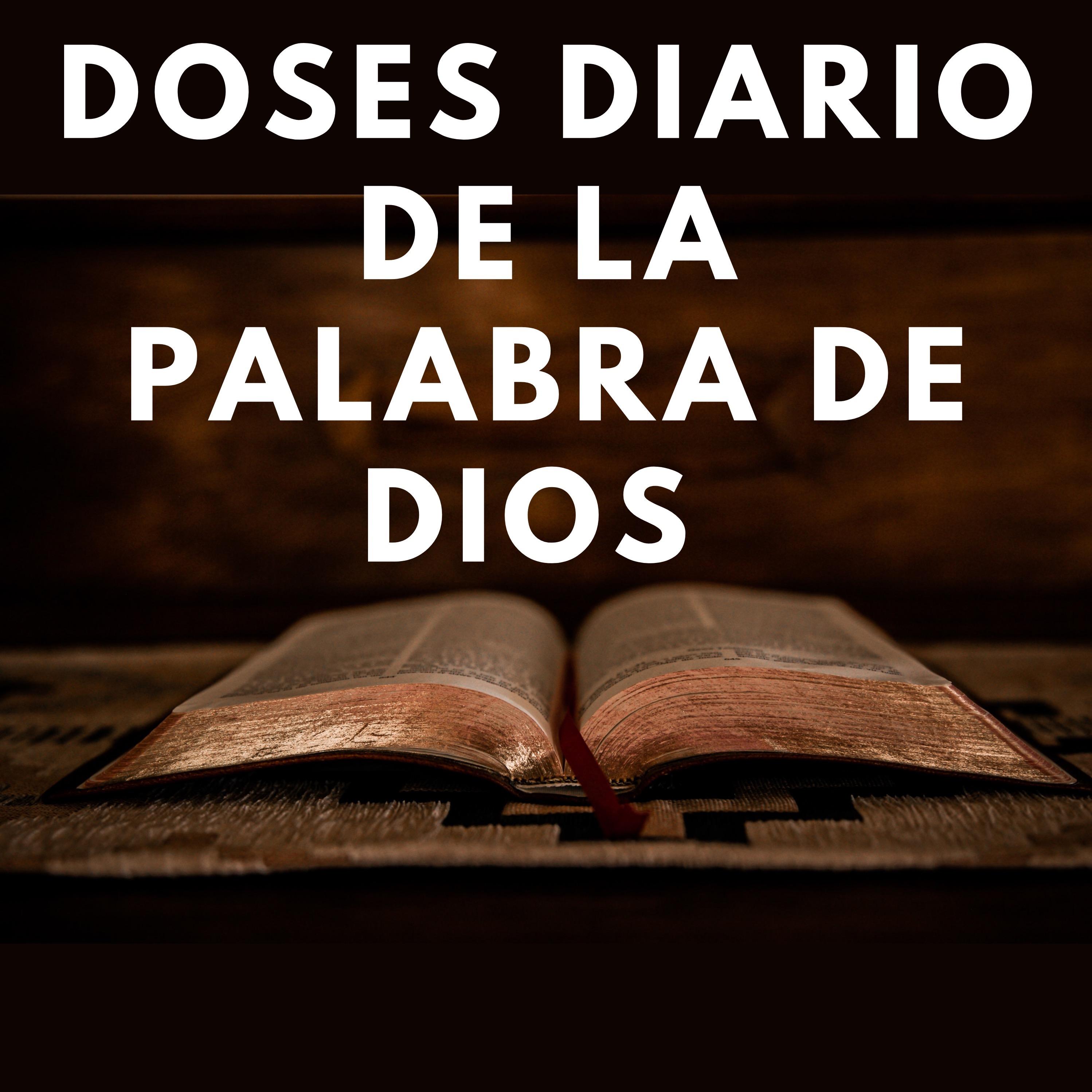 Dosis Diario De La Palabra De Dios