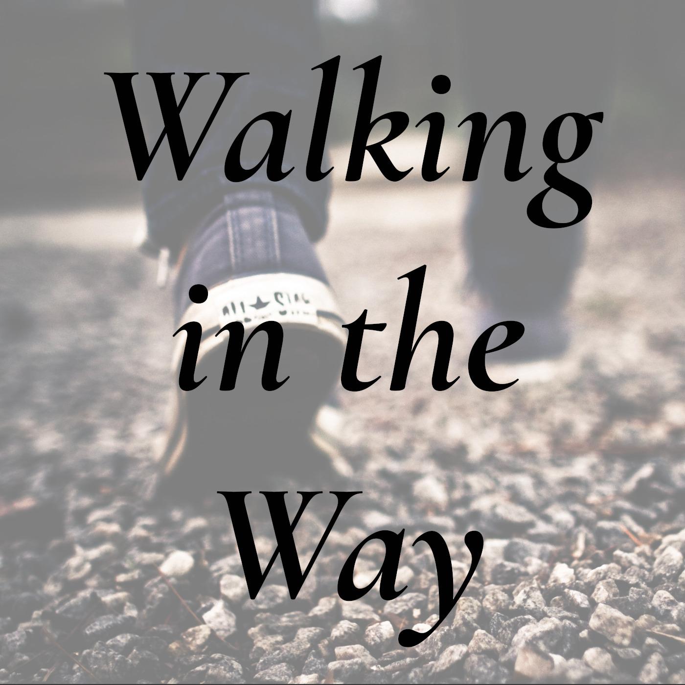 Walking in the Way