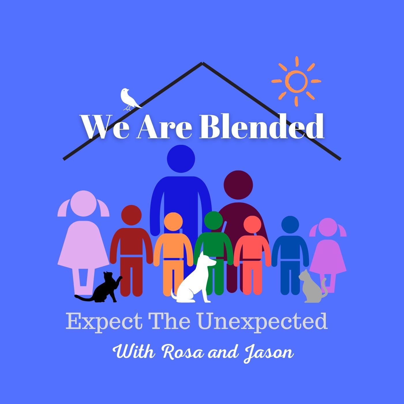We Are Blended