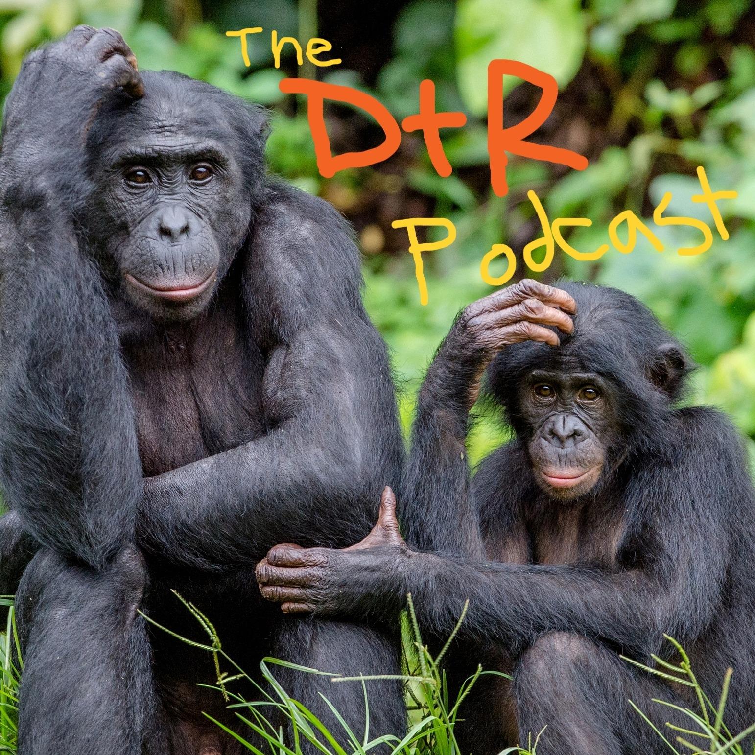 The D & R Podcast