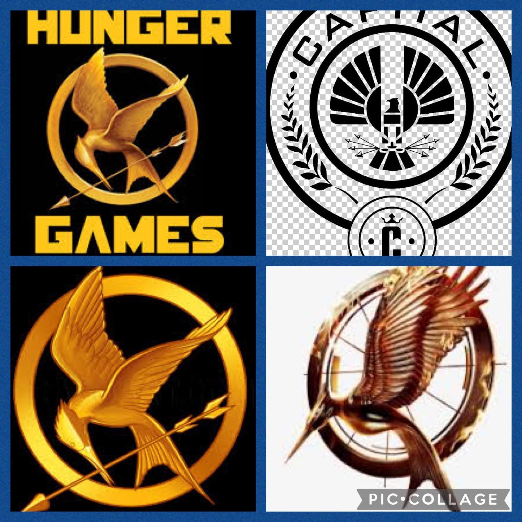 The Hunger Games: What if’s
