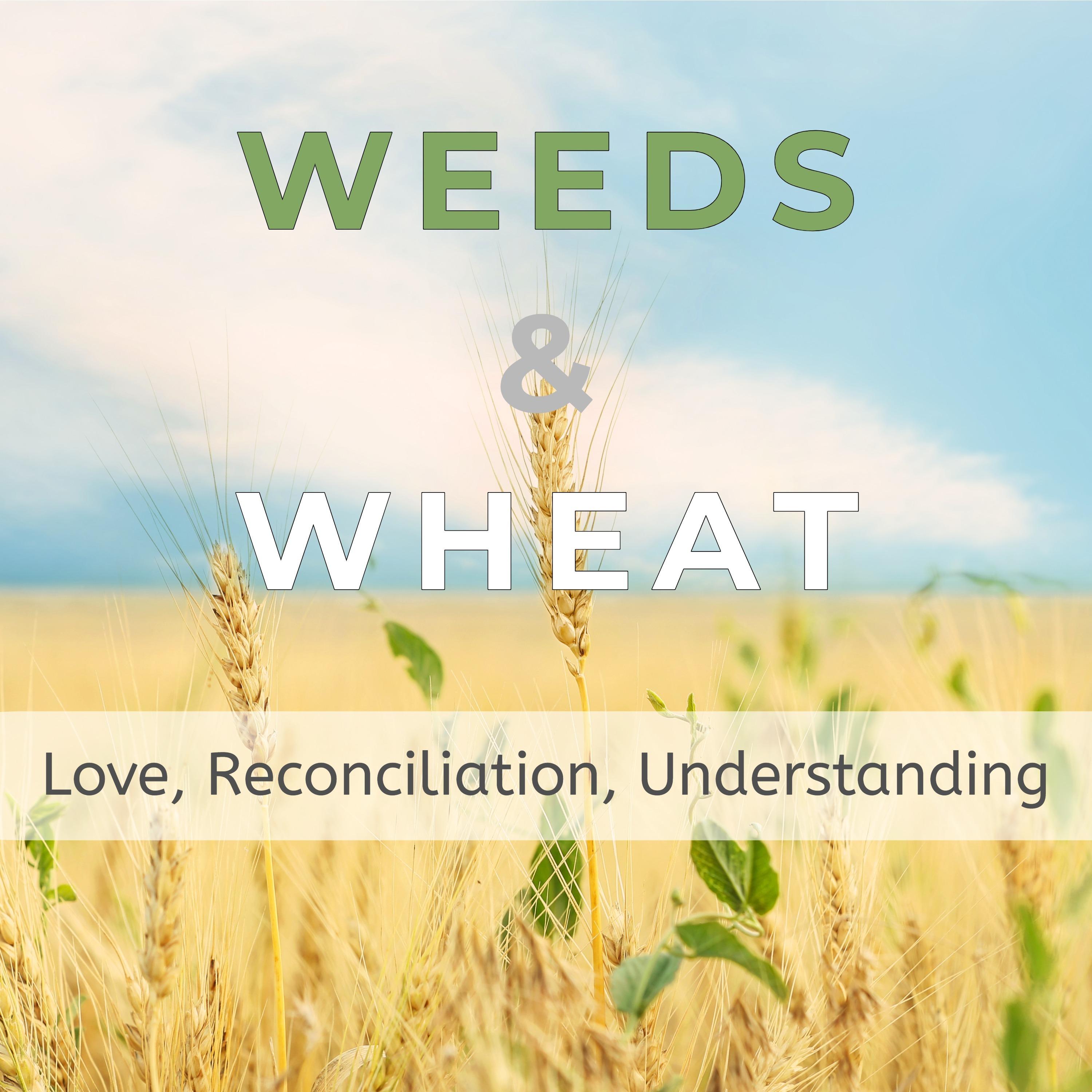 Weeds & Wheat