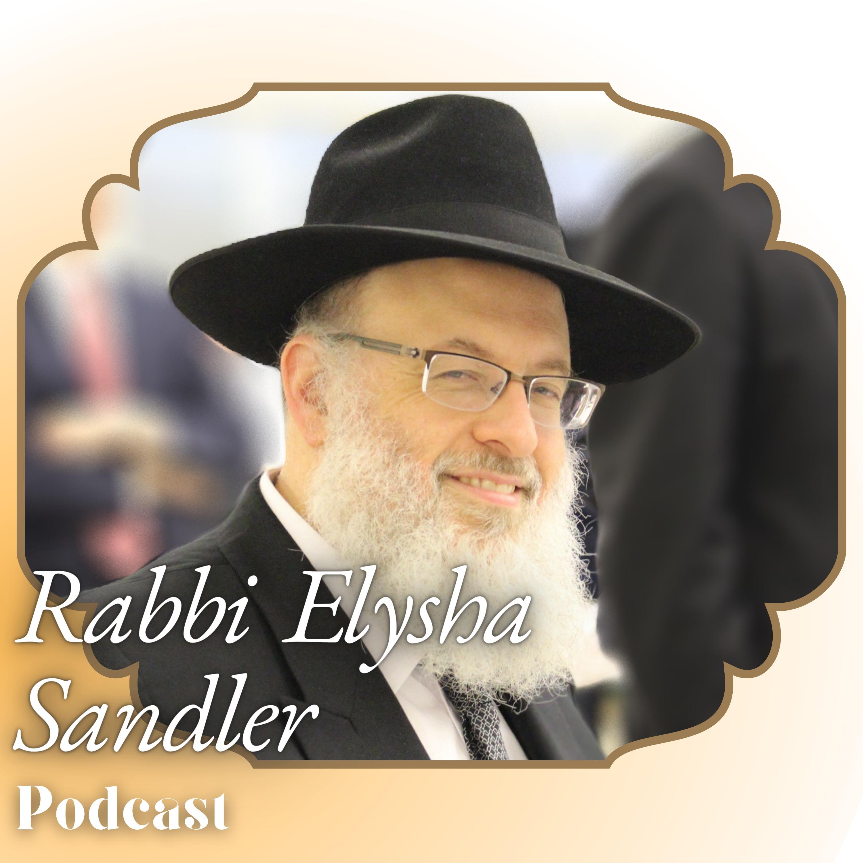 Rabbi Elysha Sandler