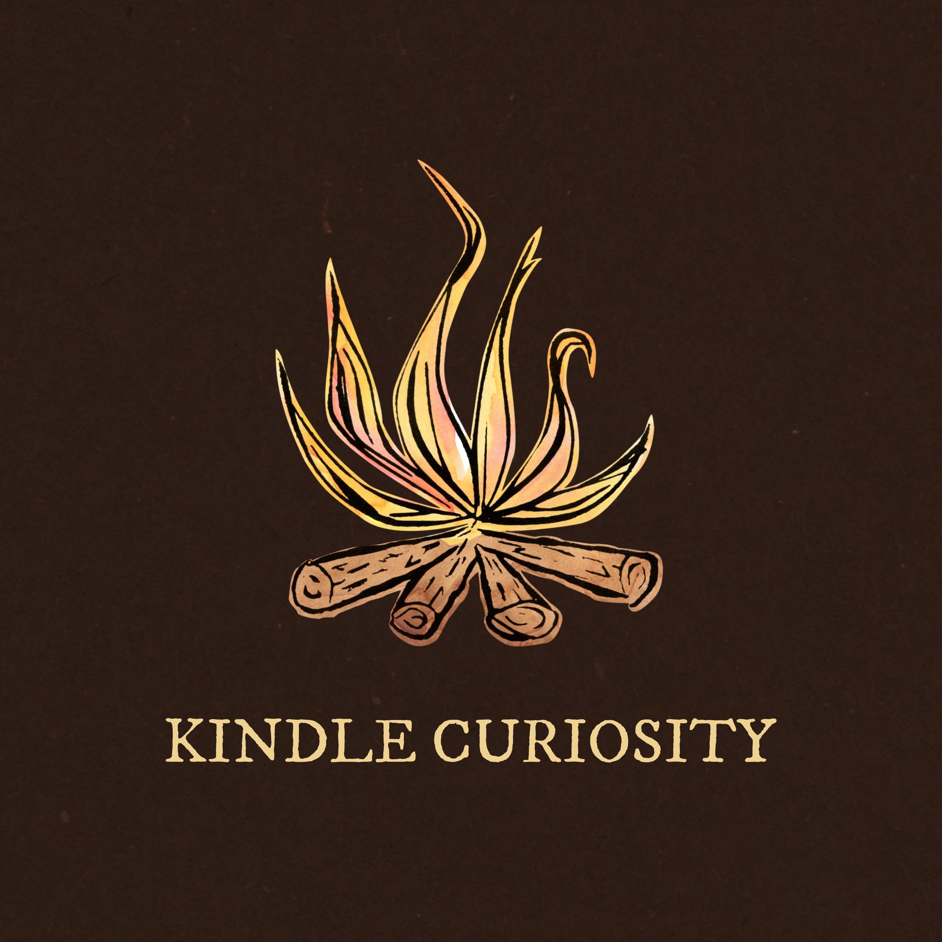 Kindle Curiosity