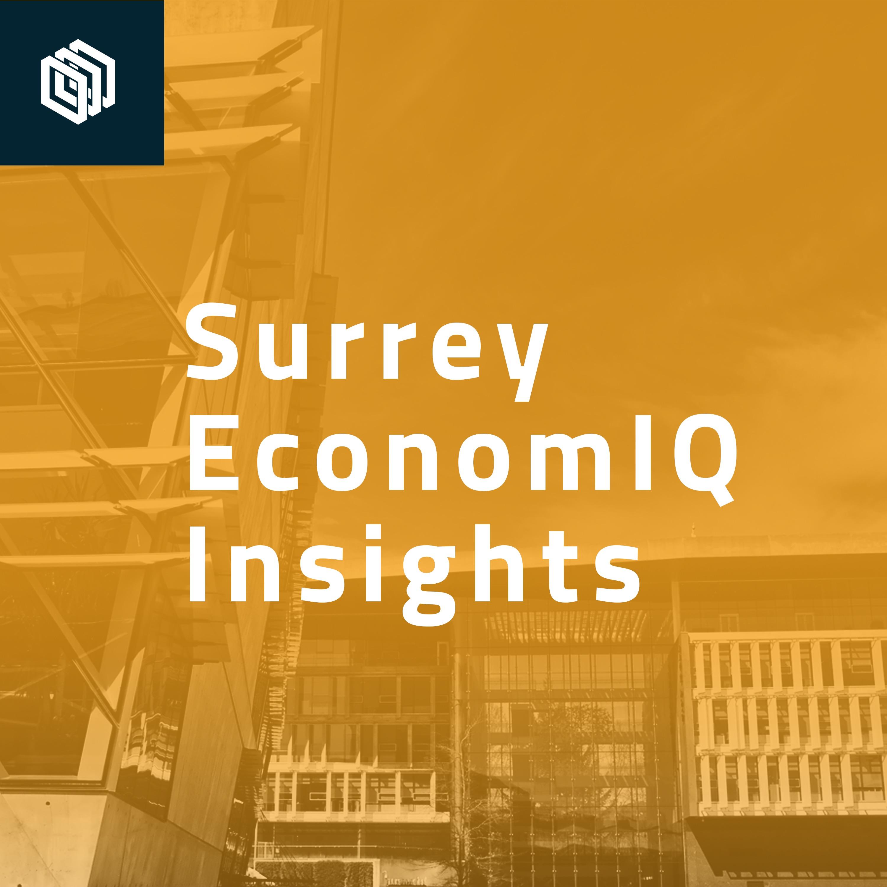 Surrey EconomIQ Insights
