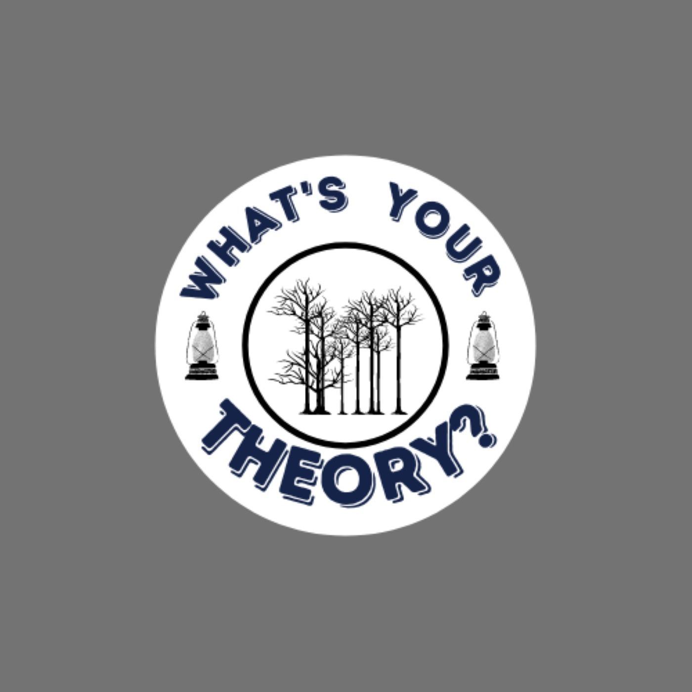 What's Your Theory?