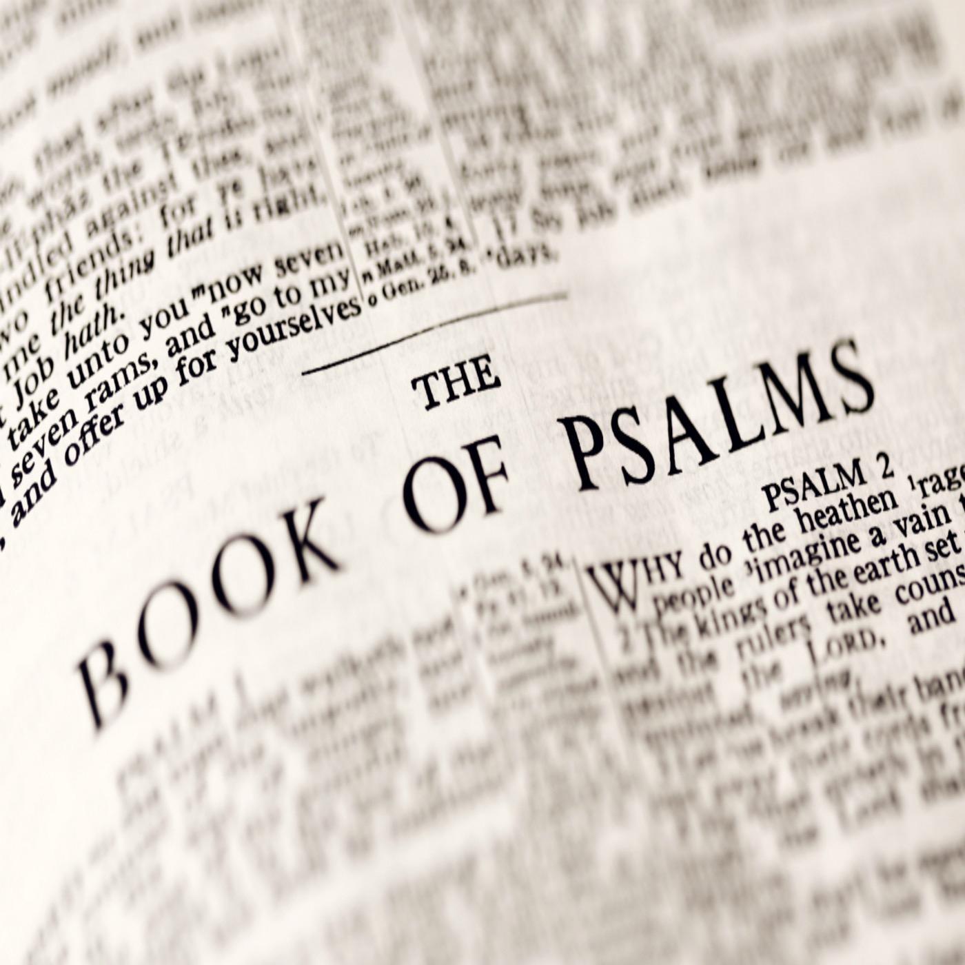 The Book of Psalms: Presented by Providence Presbyterian Church HIlton Head