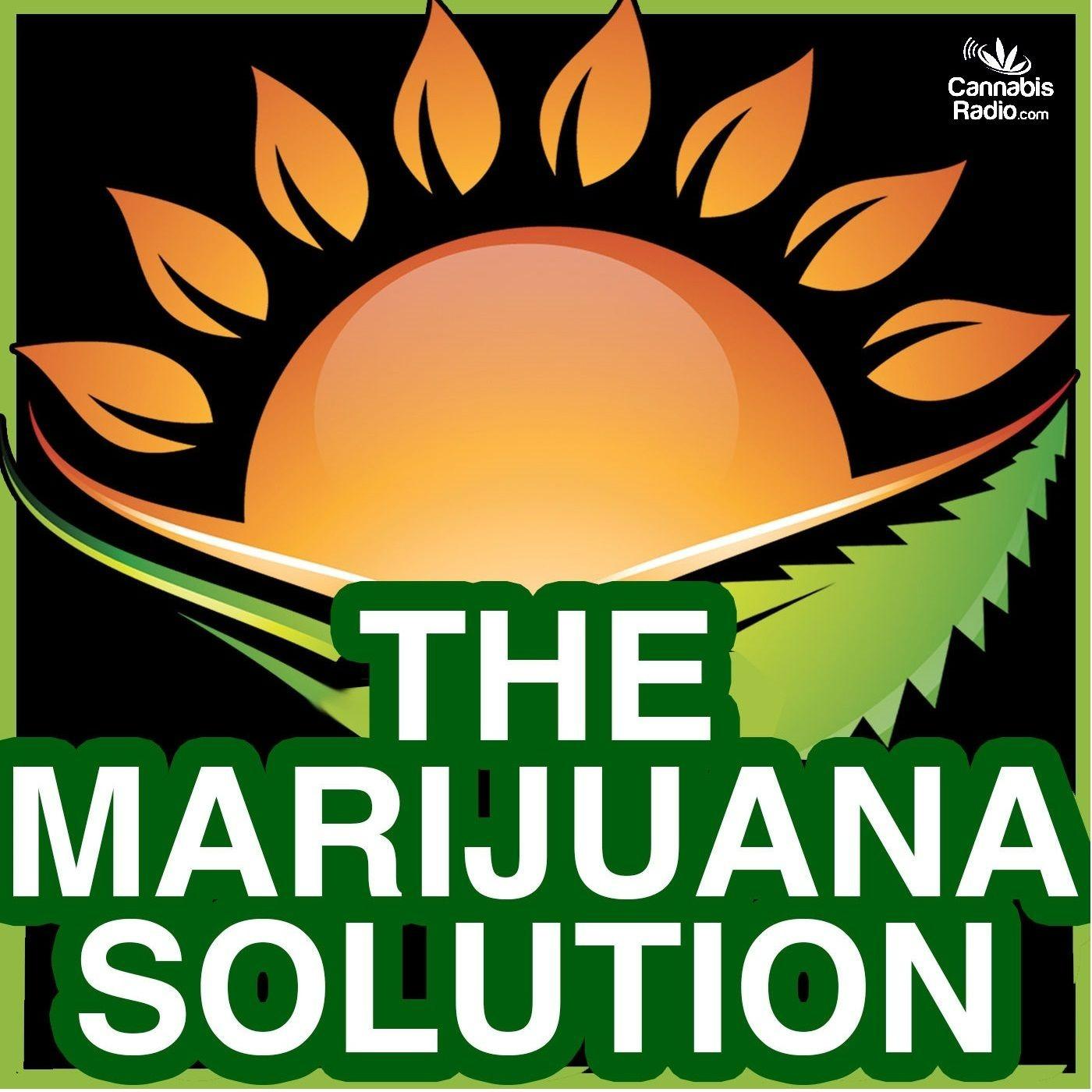 The Marijuana Solution