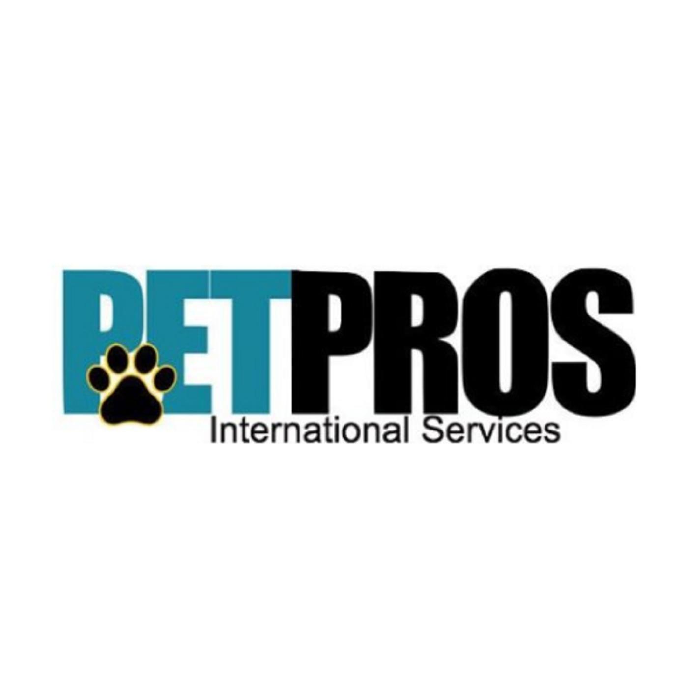 Pet Grooming Home Service - Pet Grooming Services