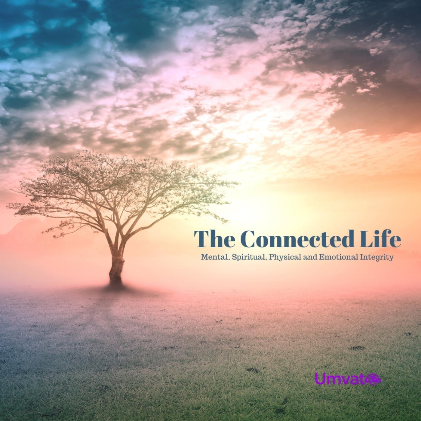 A Connected Life with D. Marie