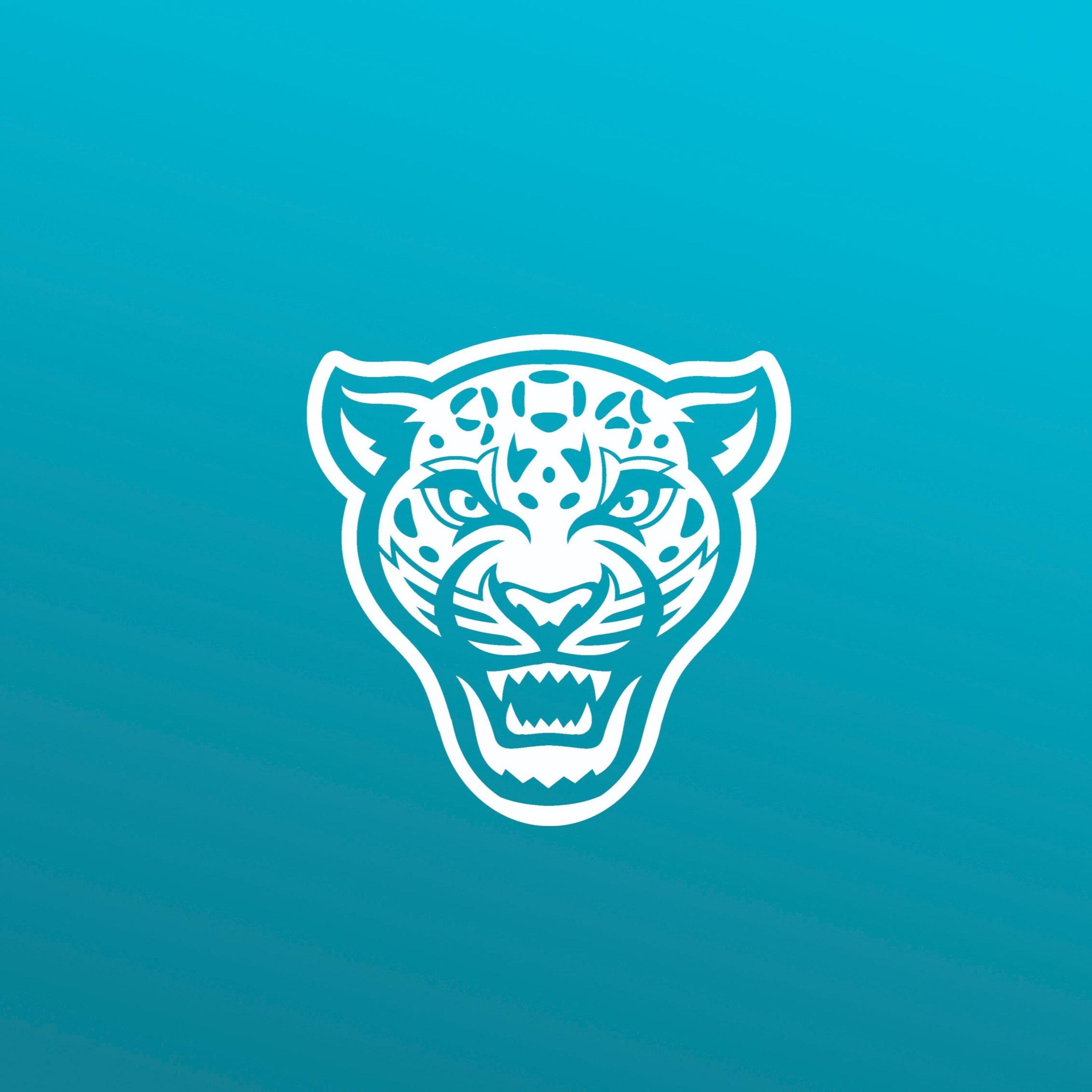 Duval Daily: A Jacksonville Jaguars Podcast