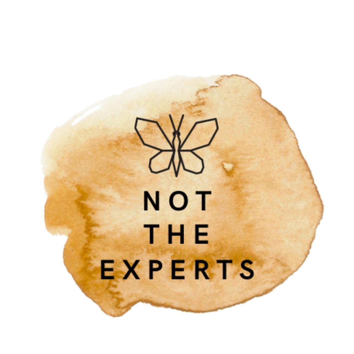 Not the Experts