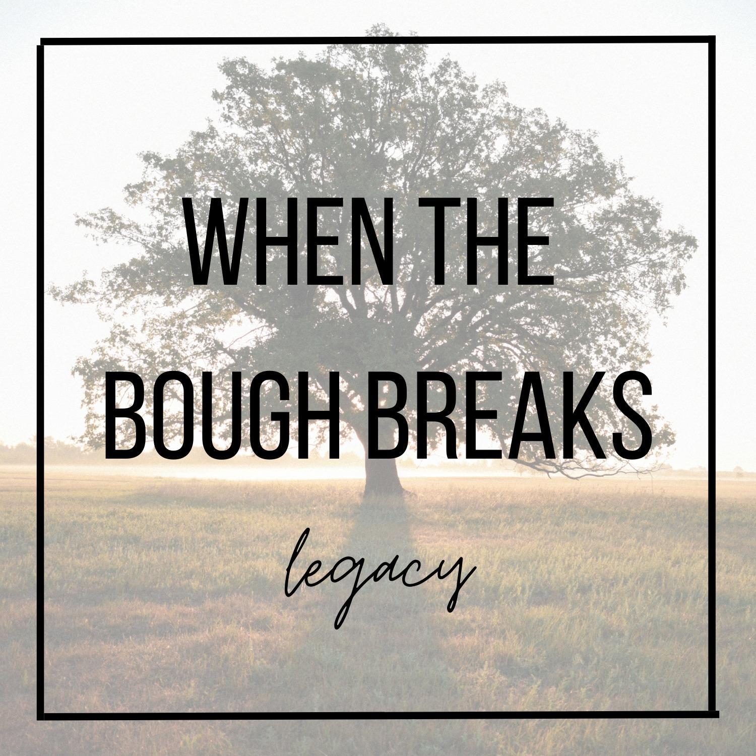 When The Bough Breaks (Legacy)