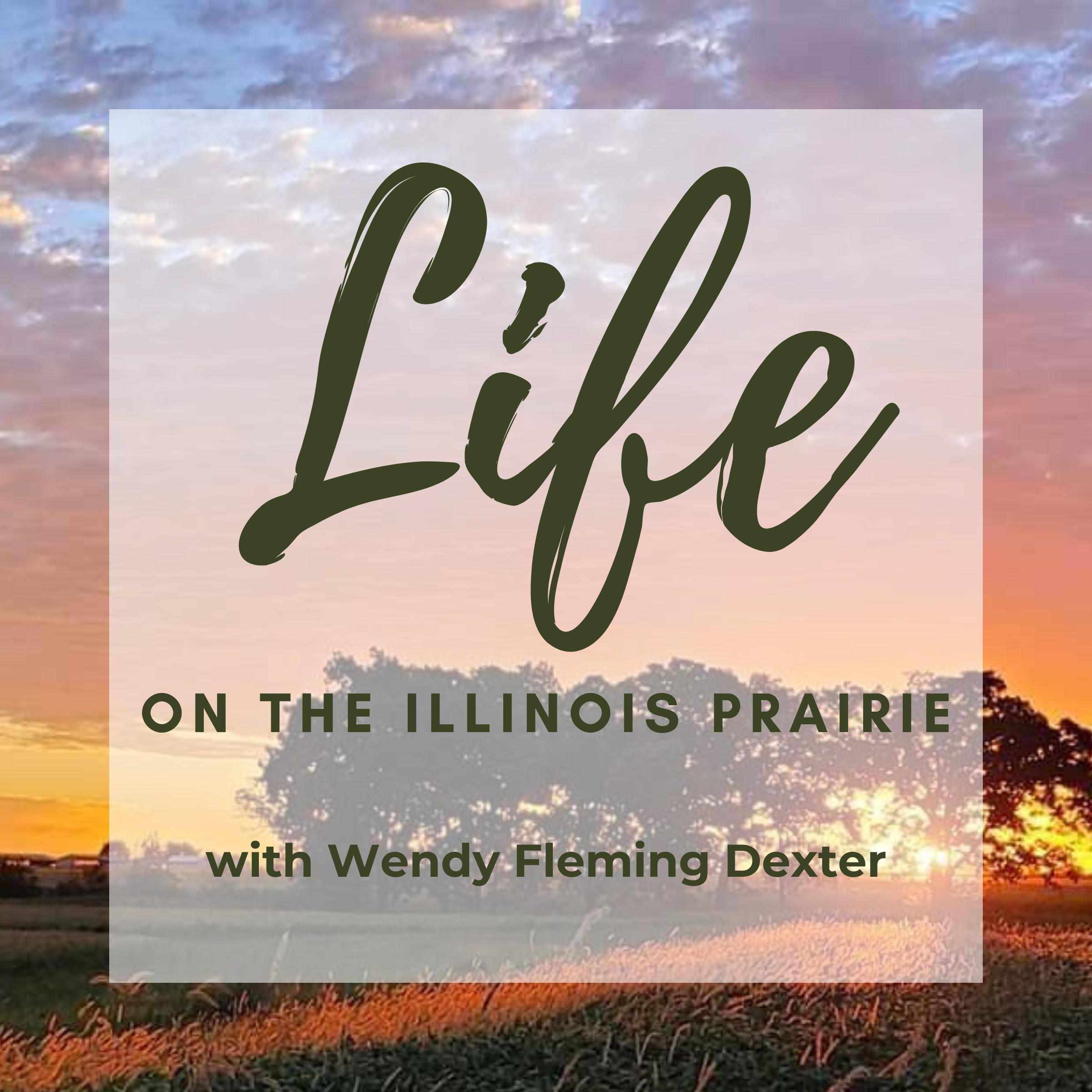Life on the Illinois Prairie