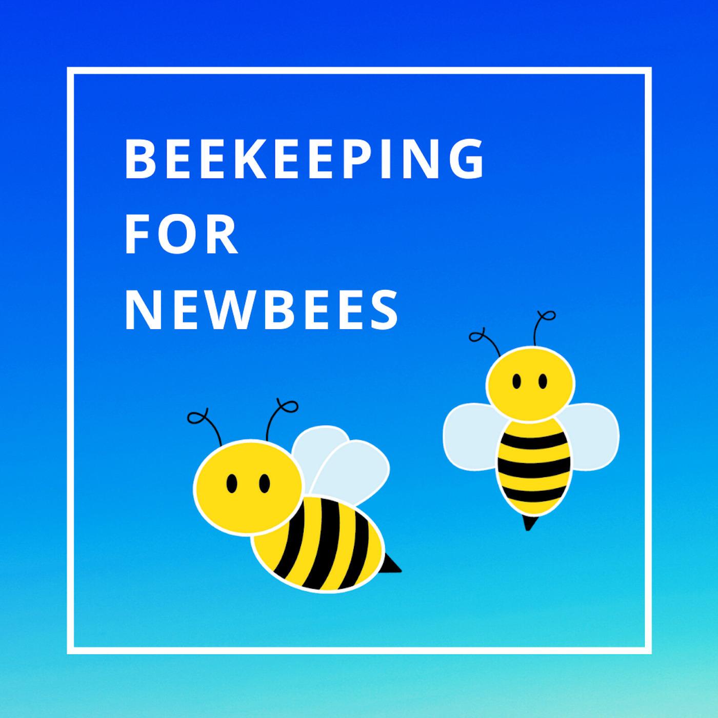 Beekeeping For Newbees