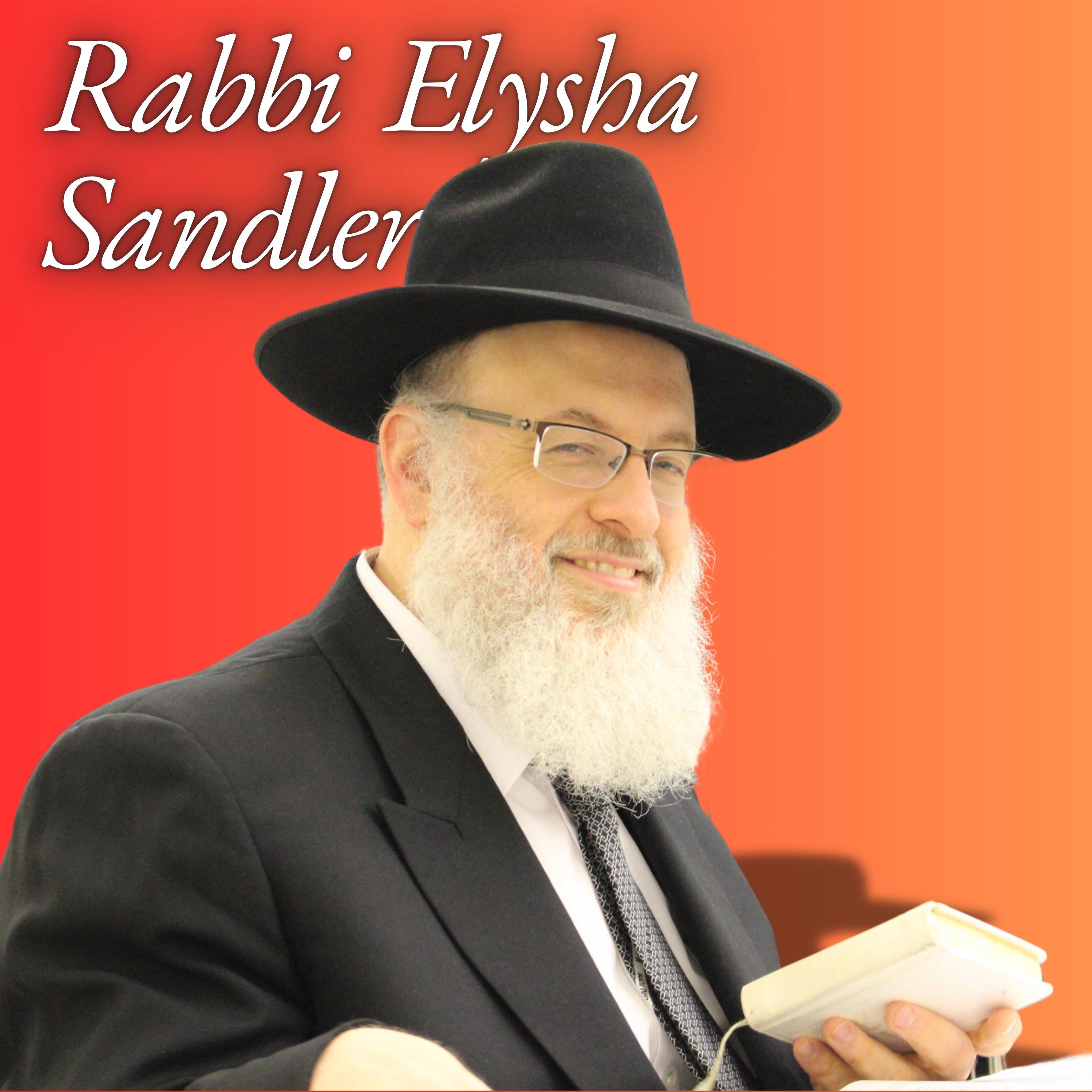 Ba Rabi Rabbi Elysha Sandler | RedCircle